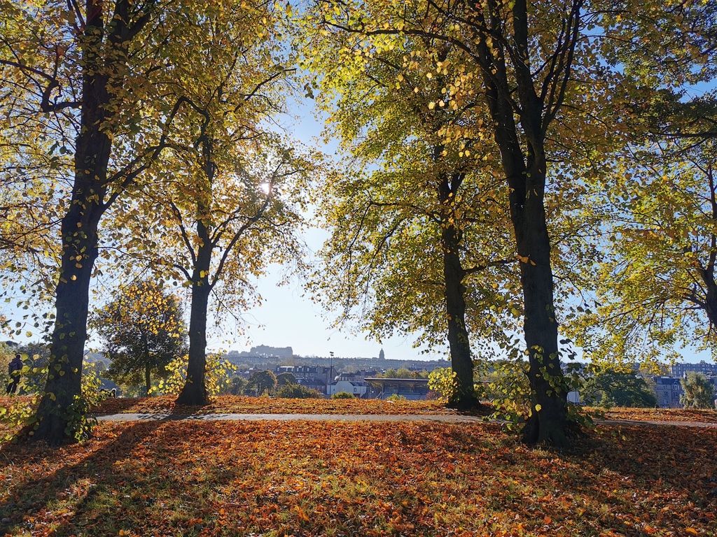 Inverleith Park in Autumn
