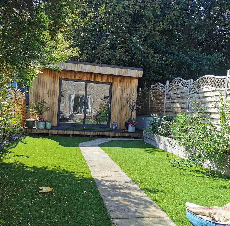 Back garden in the sunshine