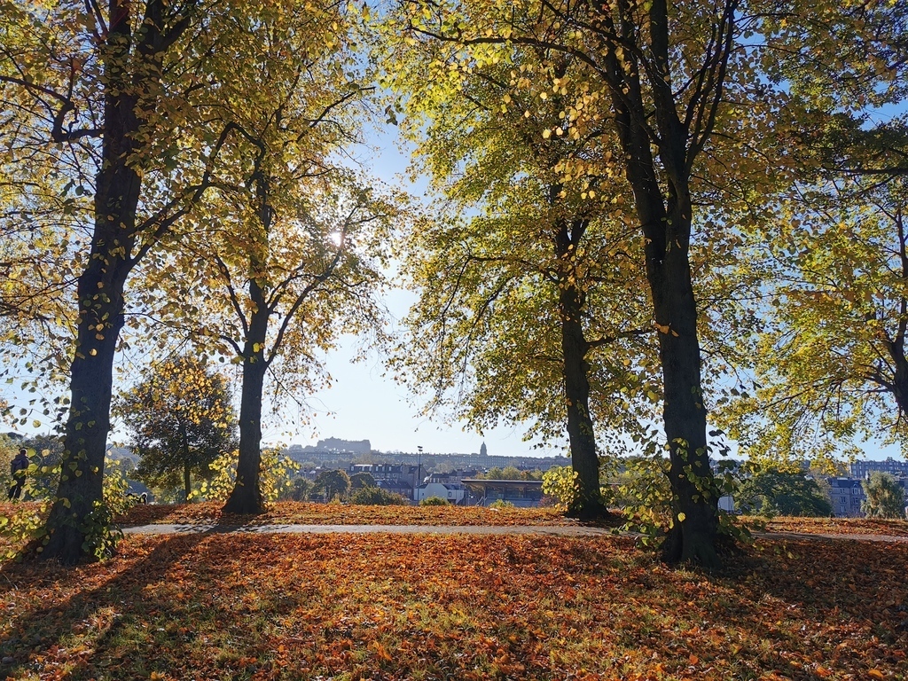 Inverleith Park in Autumn