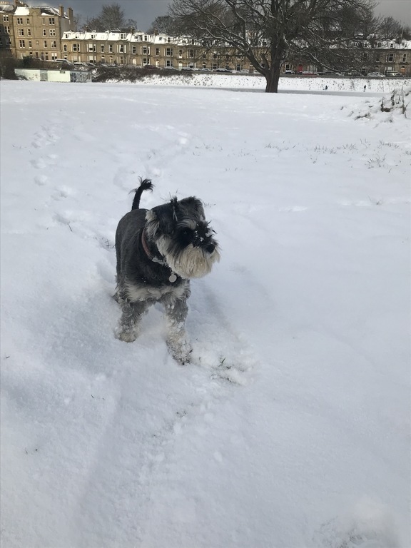 Winter fun in field beside our house