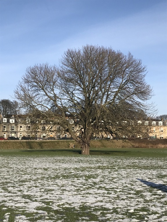 Winter in our neighbourhood