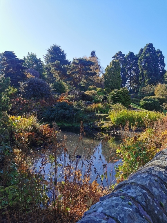Botanic Gardens
