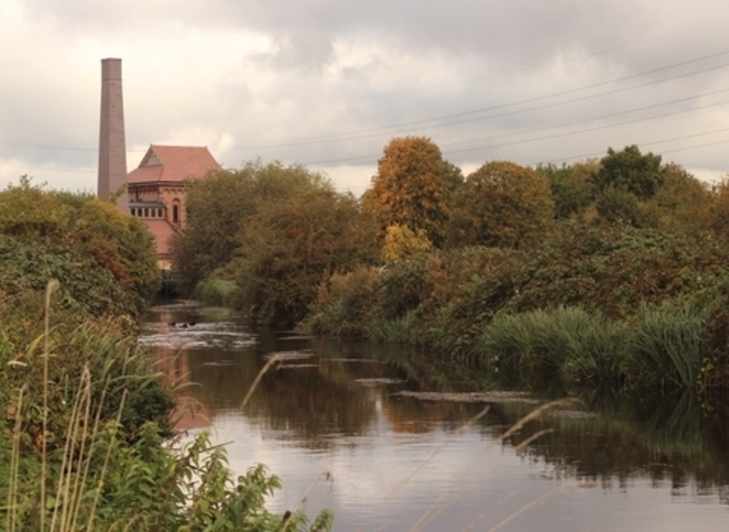 Walthamstow Wetlands (10 minutes drive)