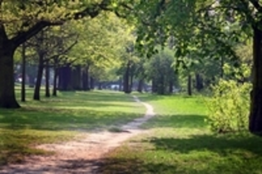 Tooting Bec Common (park), 3 min away from the house