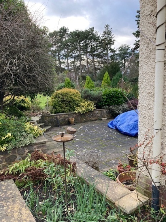 Rear garden from side of house