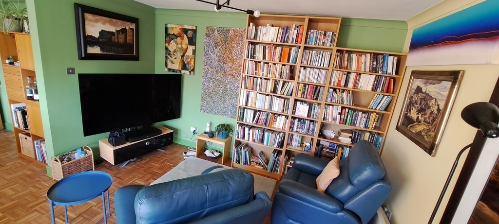 Television area of the lounge