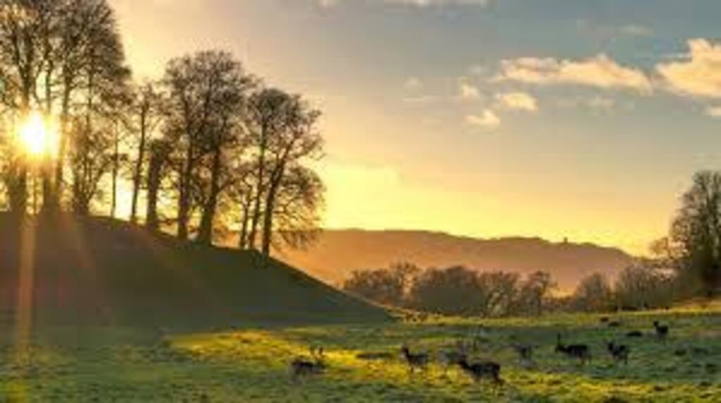 Dinefwr country park, Llandeilo for beaitiful walks. 