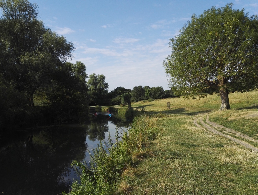 Grantchester Meadows