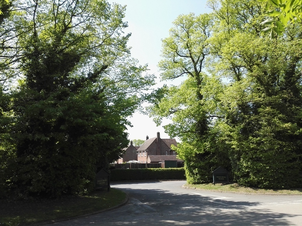 Thatchers Wood