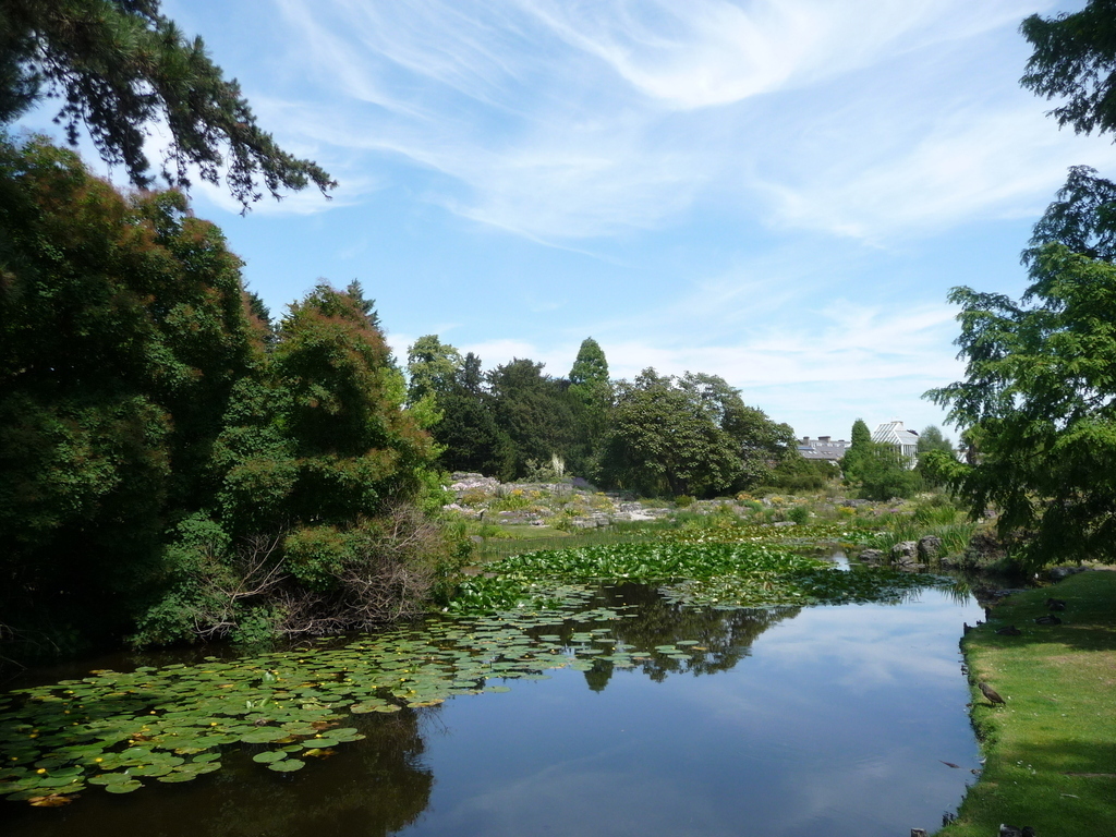 Cambridge Botanic Gardens