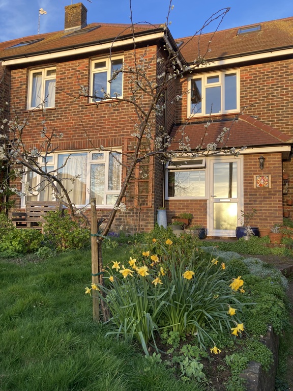 the front of our house