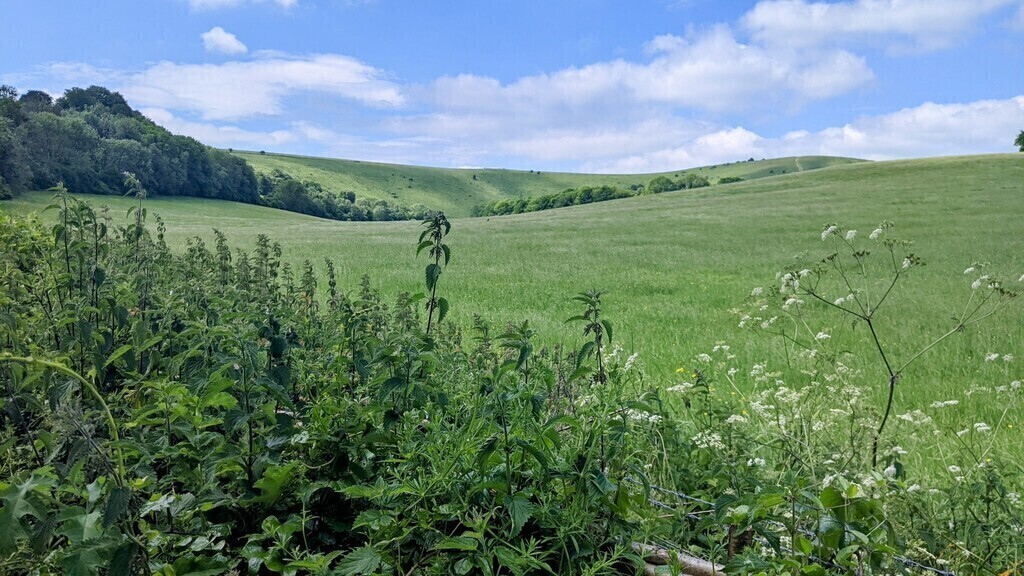Escape the bustle of the city to the beautiful South Downs National Park. Easily accessible by car or bus to Devils Dyke