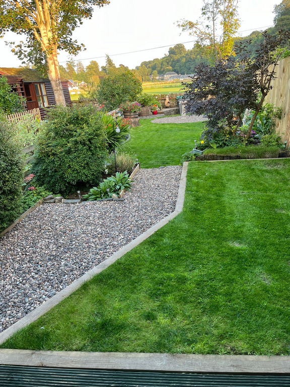 Back garden