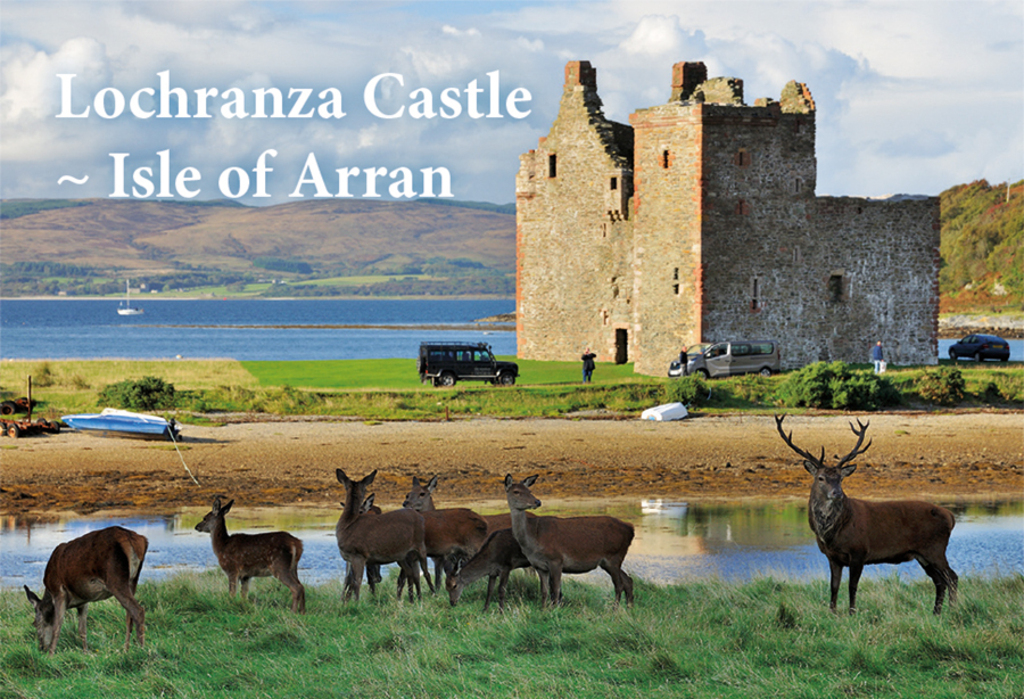 Lochranza Castle in the North (45 mins drive) and wild deer that frequent this part of the island 
