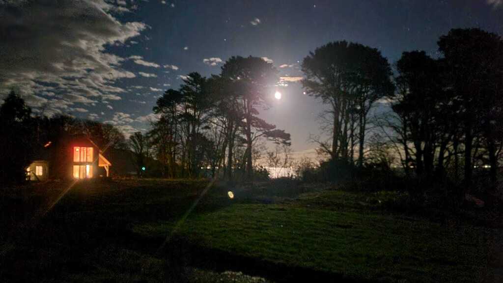 The house from the garden at night