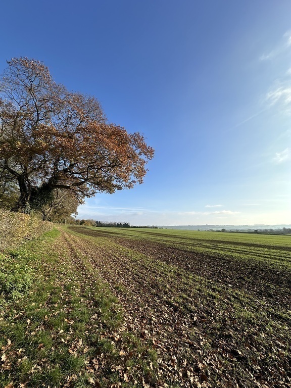 Lovely walks around Pucklechurch