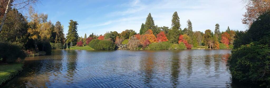 Sheffield Park gardens