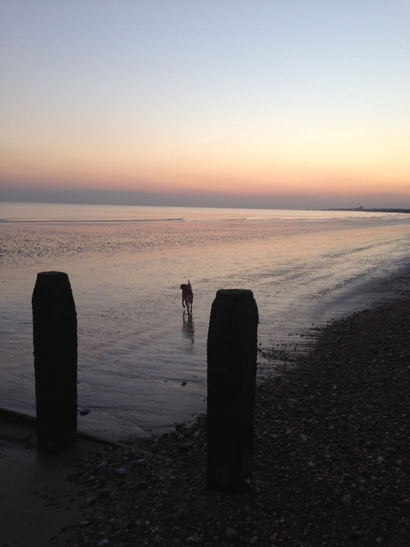 Shoreham beach