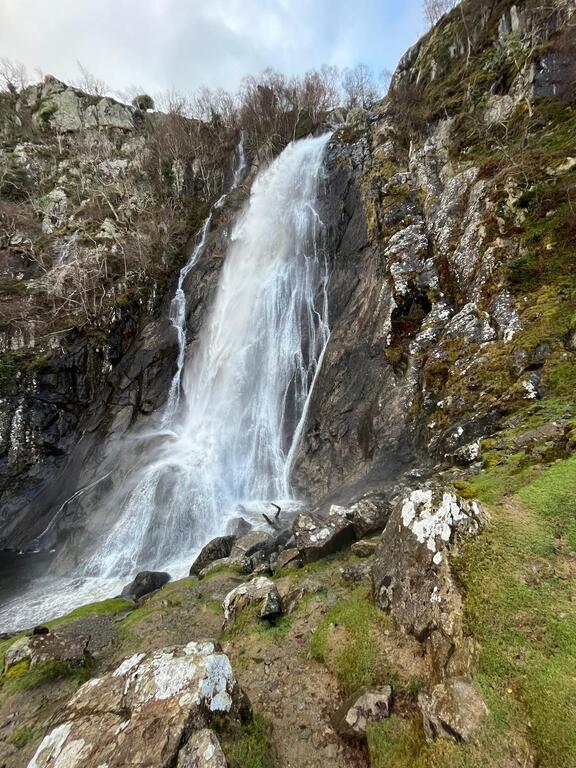 Aber falls