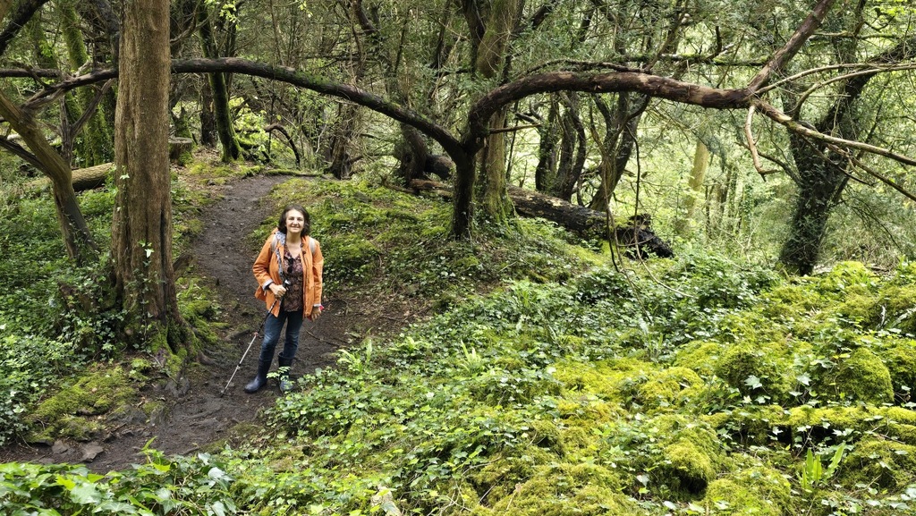 Walking in the Forest