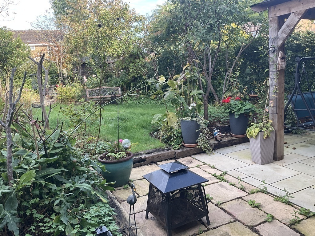 Cottage style garden with fruit trees