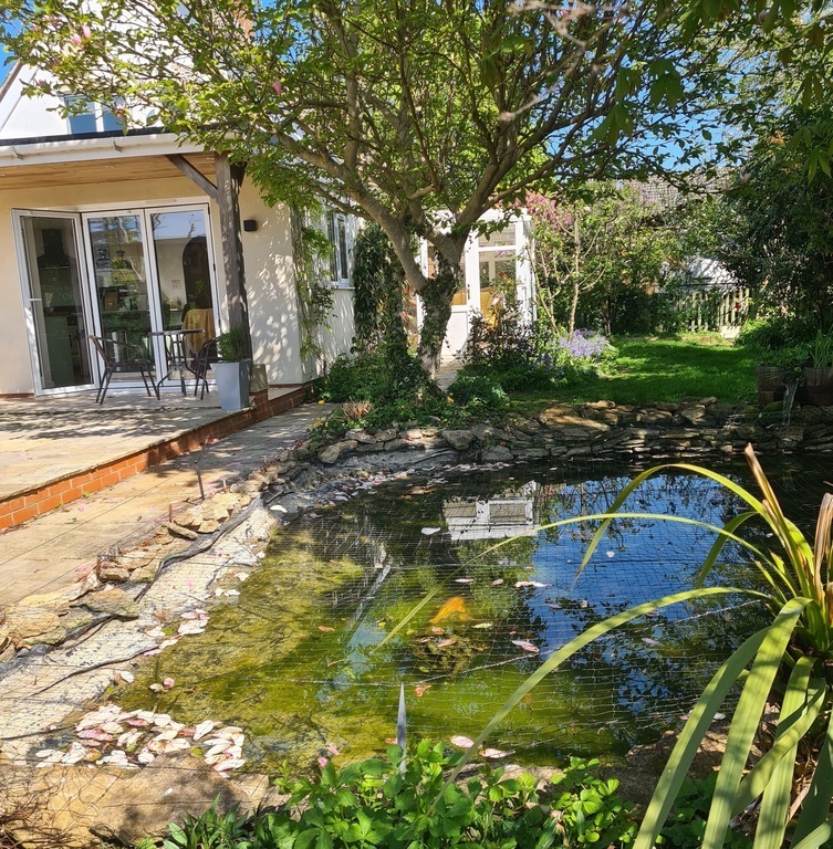 View from the side of the pond to the kitchen verandah