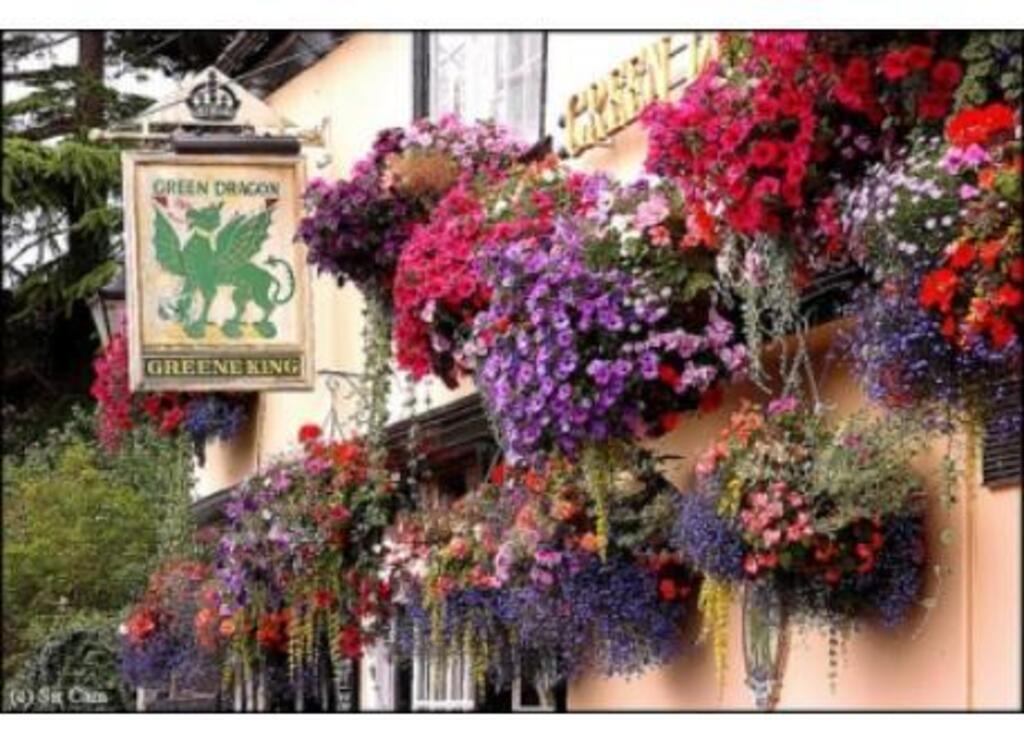 Pub at end of road (500m)