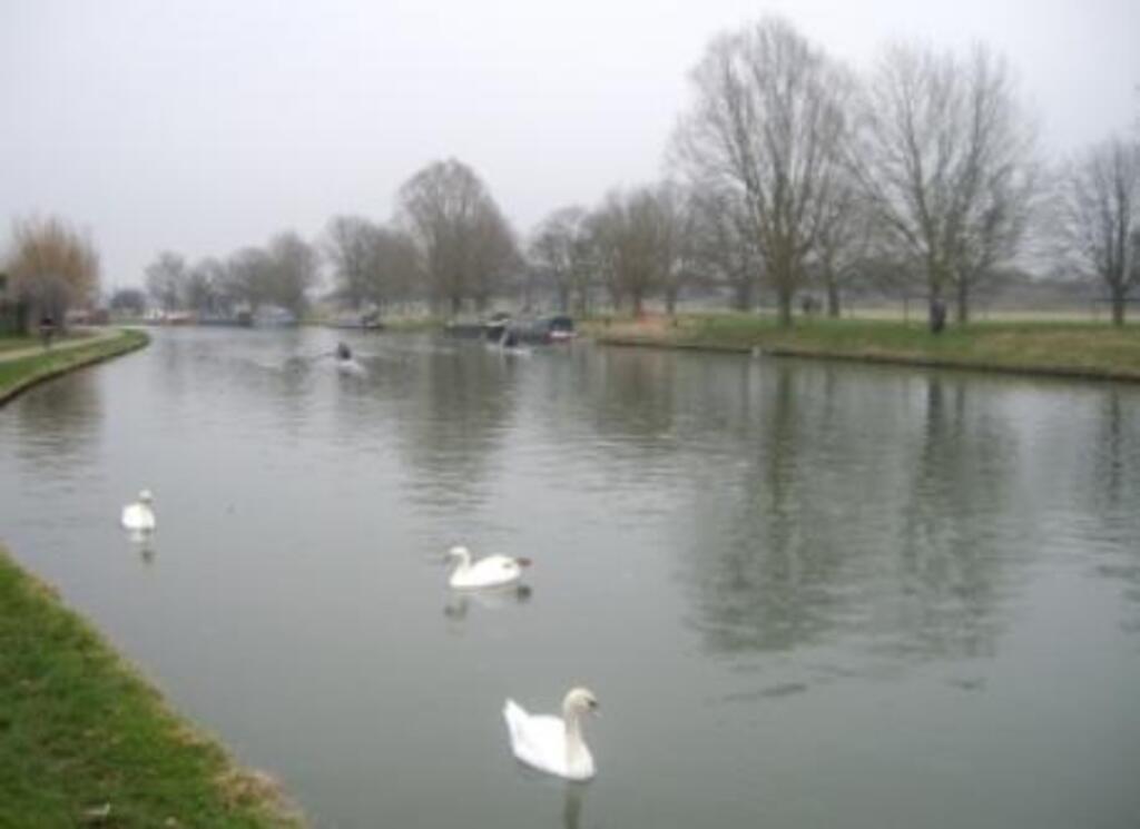 River by our house (50m)