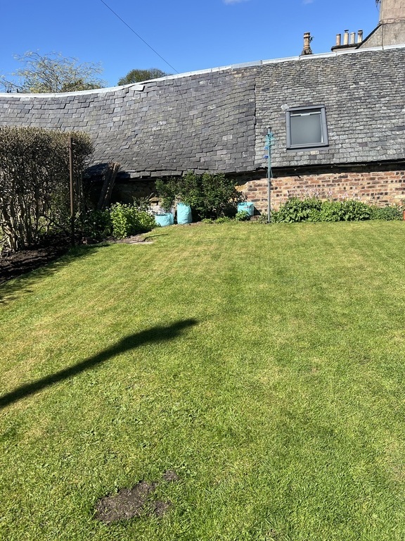 Back garden