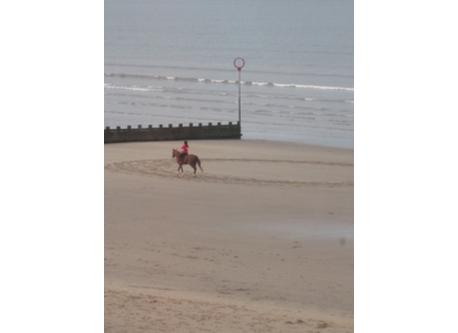 View from front bedroom