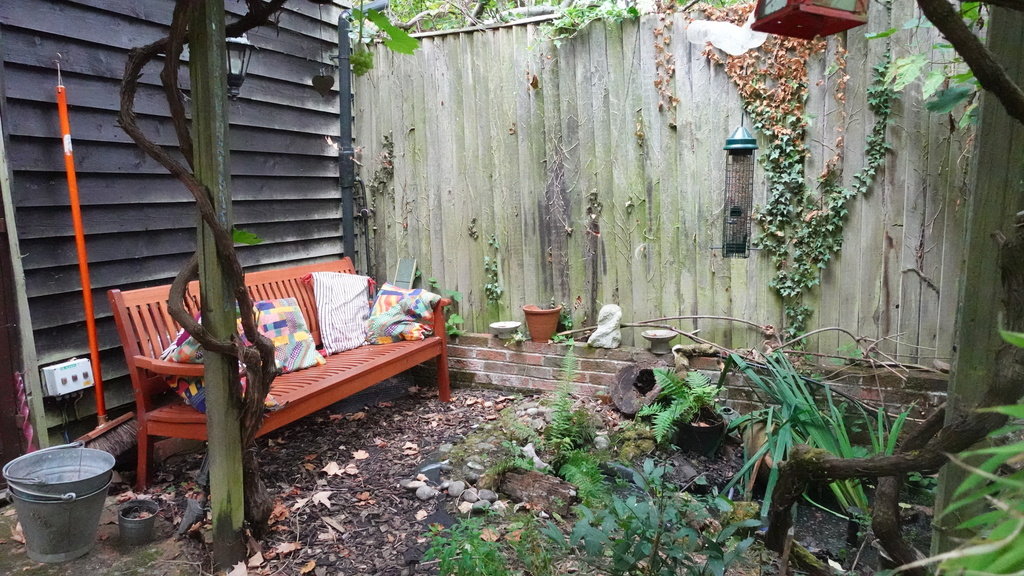 Small garden accessed from Green Room - bench seating looking at pond