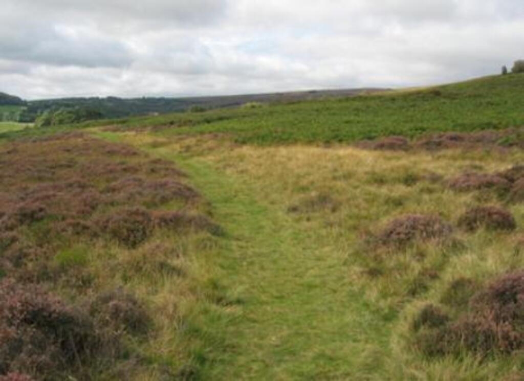 North York Moors for picnics and walks in the wild. 