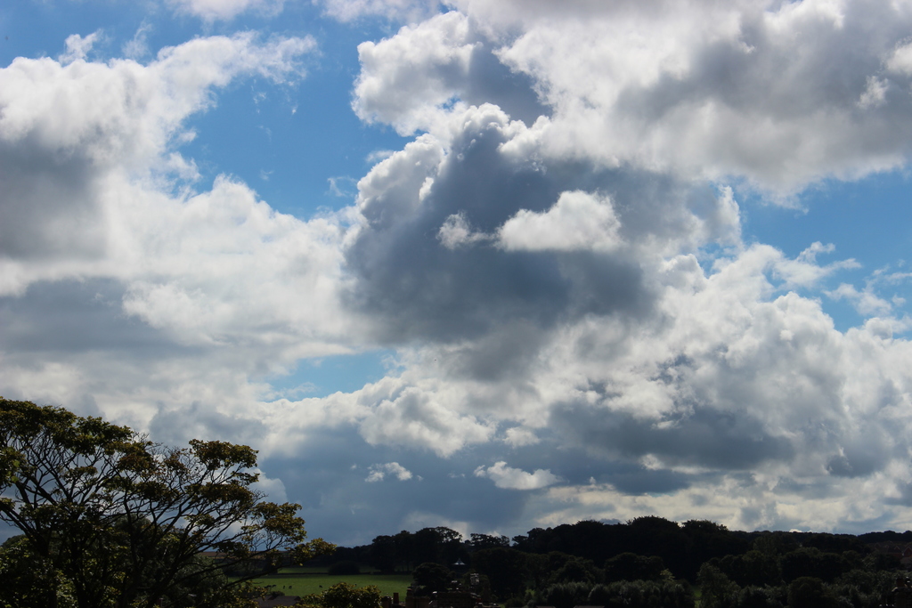 View from our bedroom window