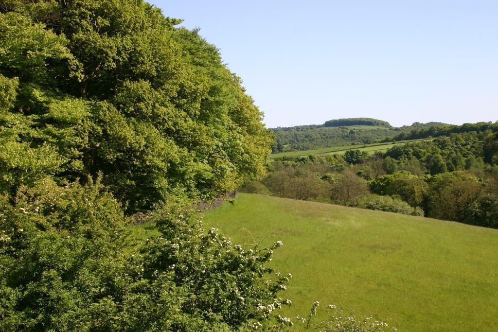 View from the Trans-Pennine Trail, which runs through the heart of Penistone