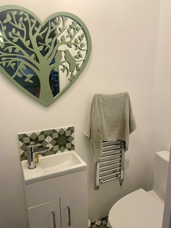 Downstairs shower and toilet 