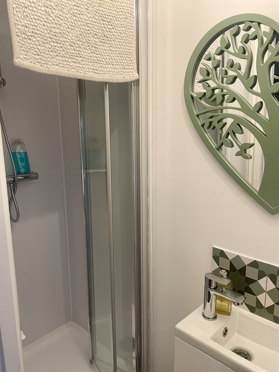 Downstairs shower room 