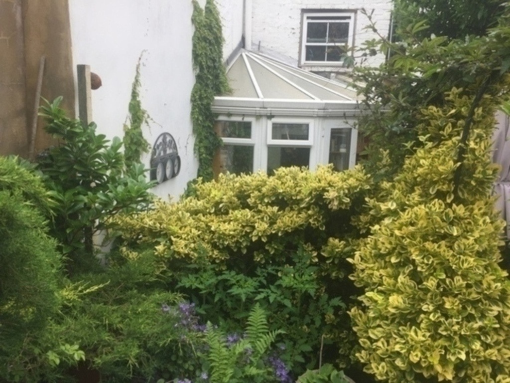 View of house from back garden 