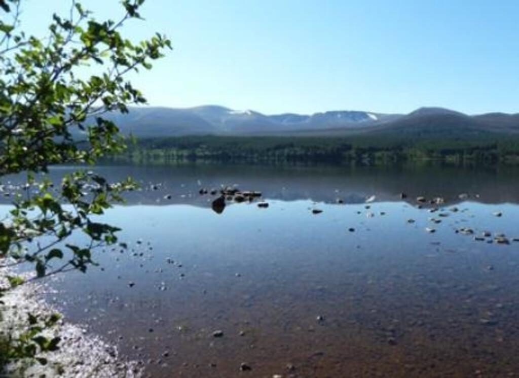 Loch Morlich in the Highlands, a 2 hour drive