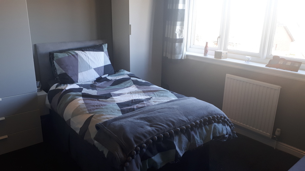 Single bedroom with double sofa bed