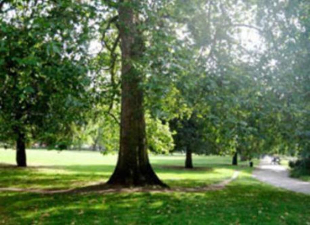 Kennington Park - just across the road