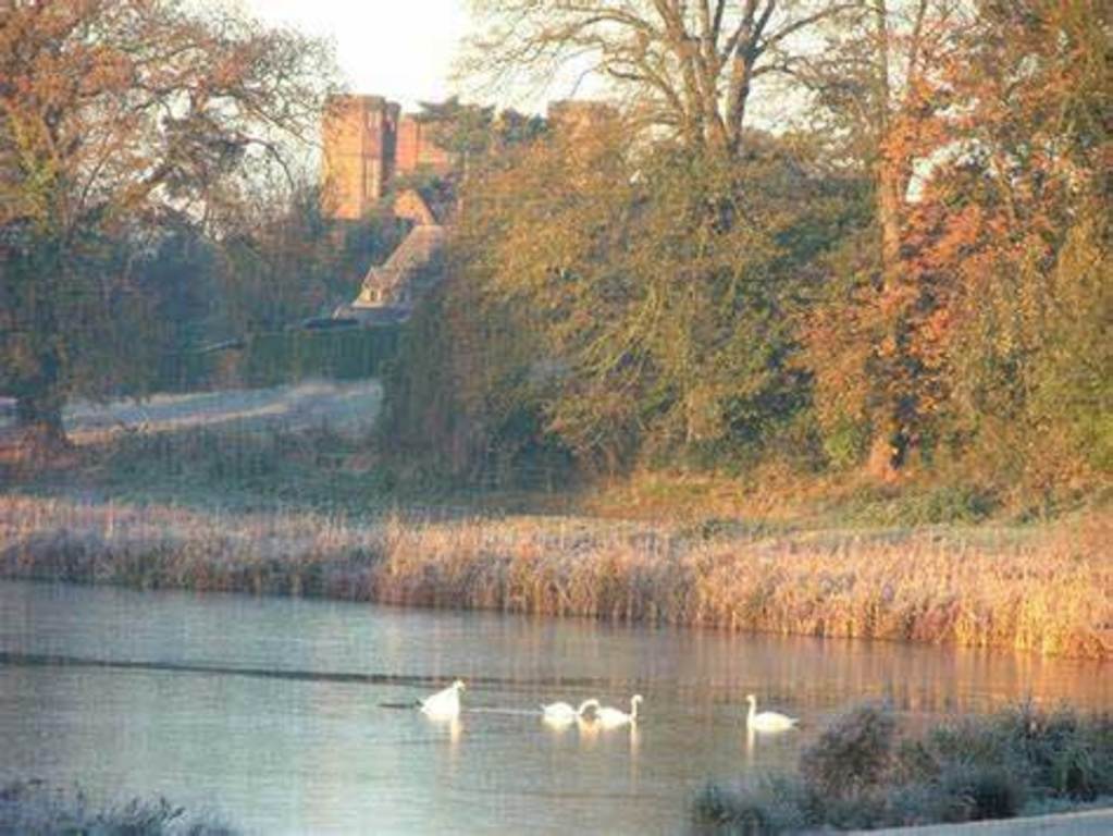 Abbey Fields, Kenilworth, in autumn