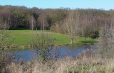 Fishing lake in park we back on to