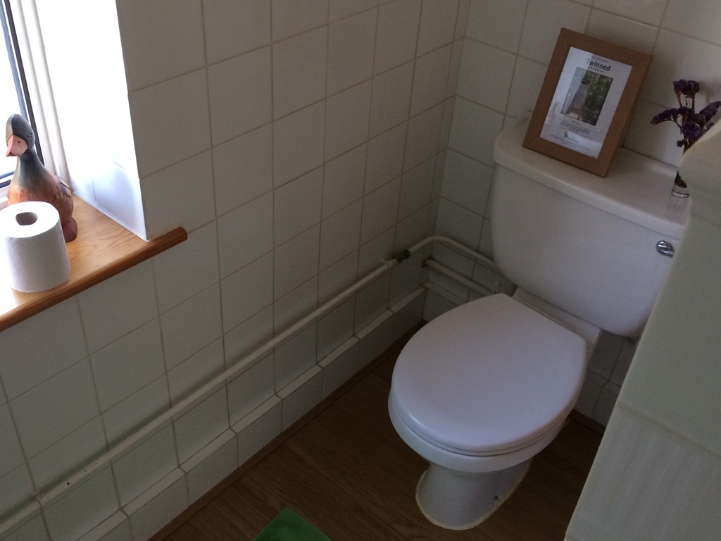 Downstairs toilet