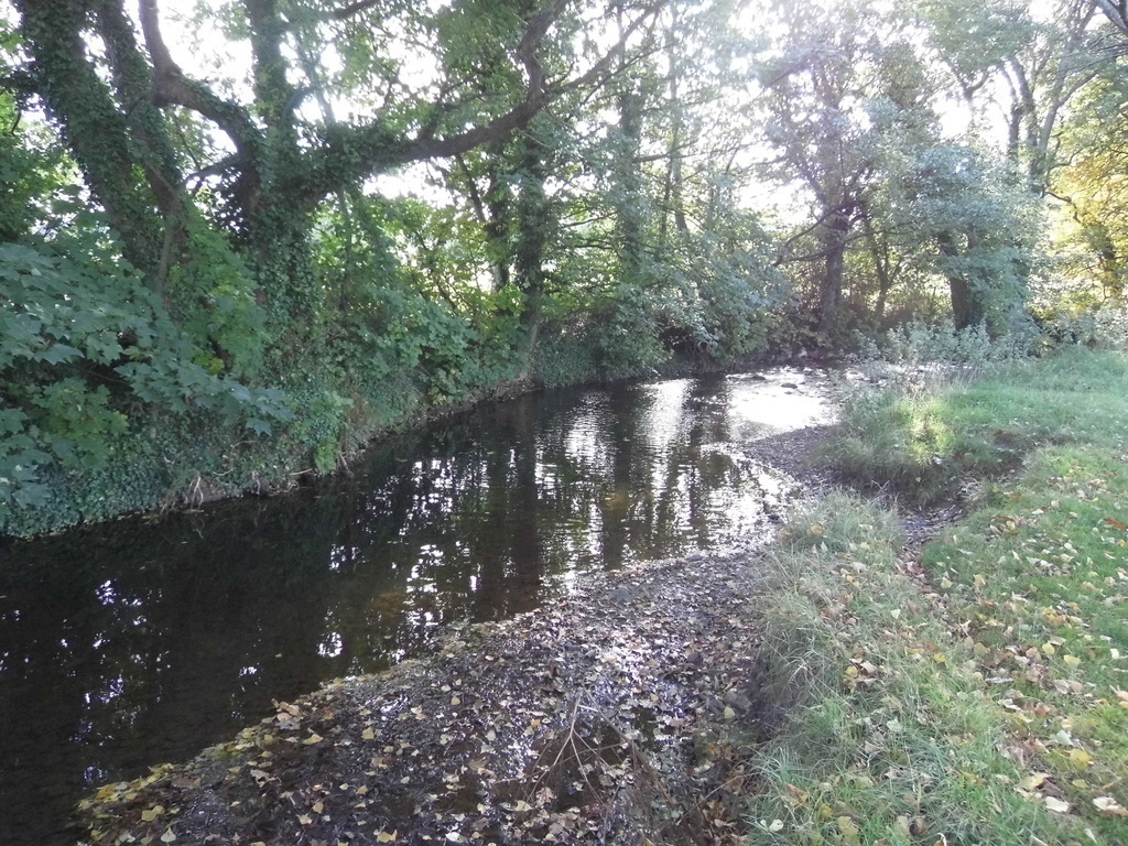River Aville in Dunster.