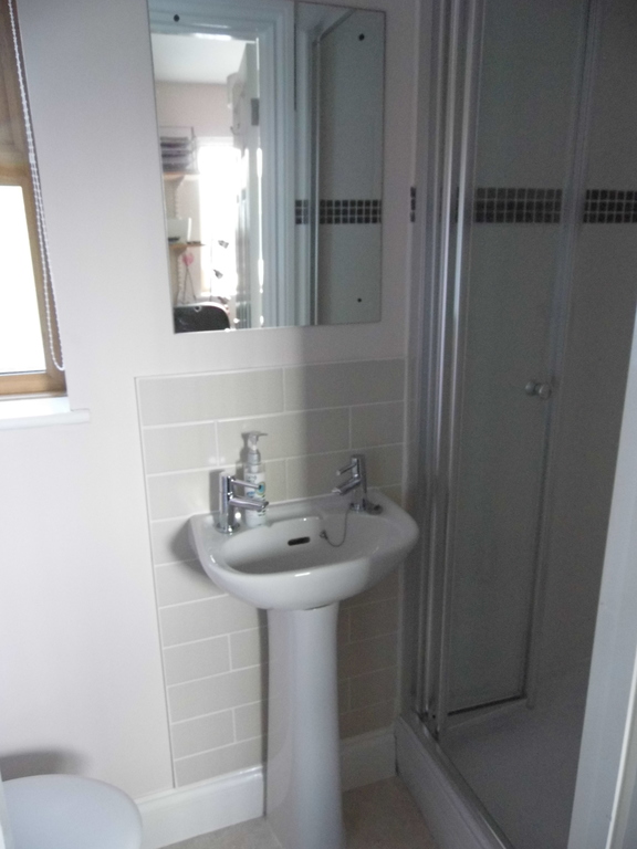 Downstairs shower/toilet