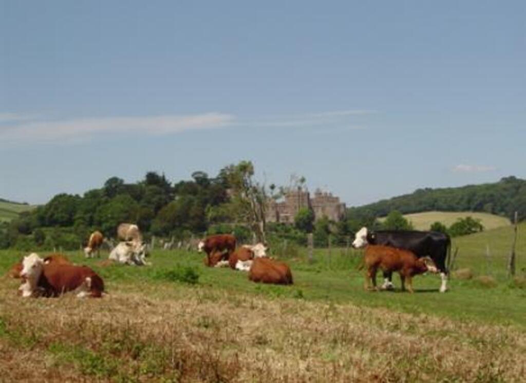 Local countryside and inhabitants!