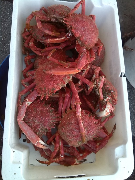 local seafood is a speciality