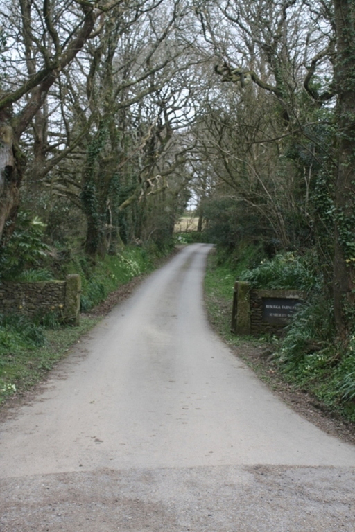 Private drive rising to the group of houses at Resugga