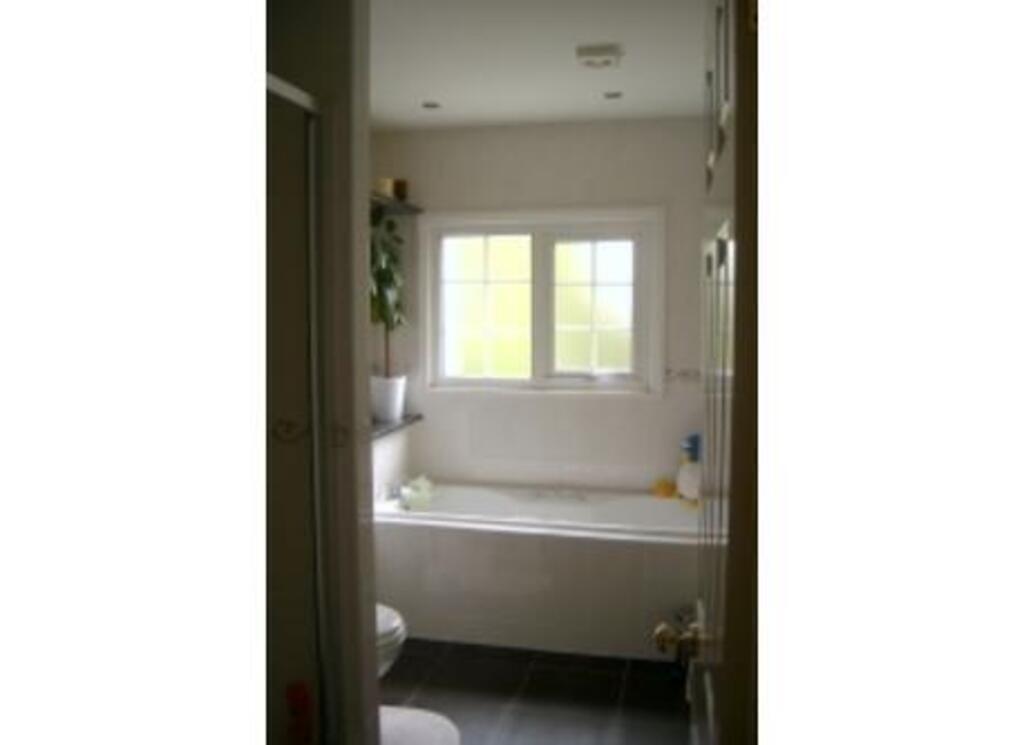 Main bathroom and shower.