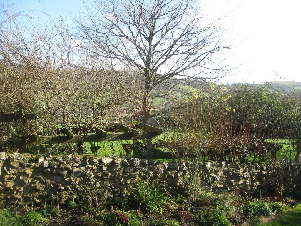 view from the back garden in winter